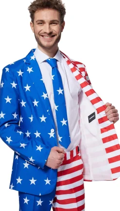 Party City Funny-Adult Americana Suit