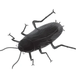 Party City Favors & Favor Bags|Black Cockroach