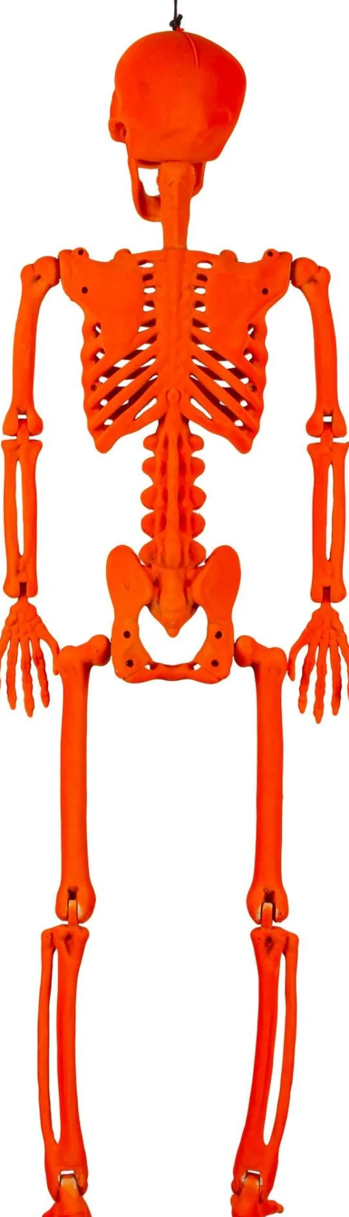 Party City Skeletons|Black Light Reactive Flocked Skeleton Hanging Decoration, 36In