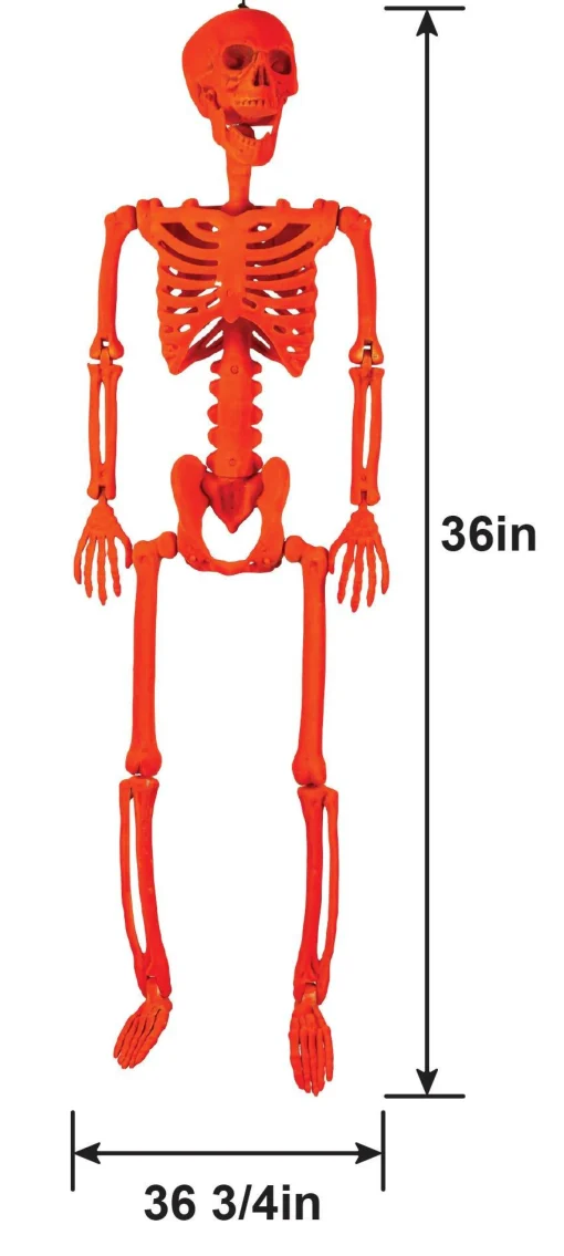 Party City Skeletons|Black Light Reactive Flocked Skeleton Hanging Decoration, 36In
