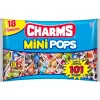 Charms Lollipops- Mini Pops Bag, 101Pc - 18 Flavors