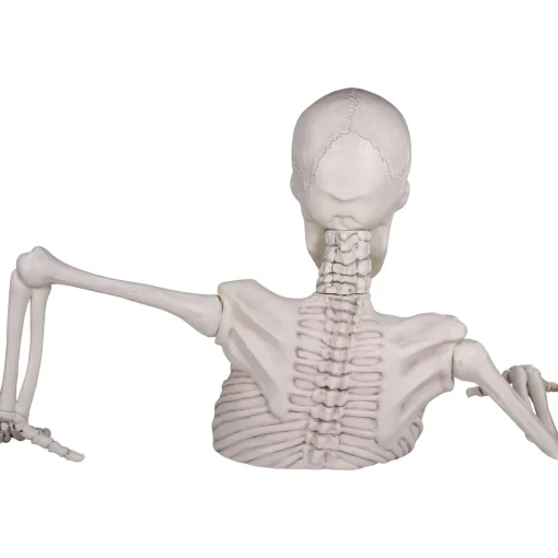 Party City Skeletons|Giant Rattles The Groundbreaking Skeleton Plastic Yard Decorating Kit, 8Pc