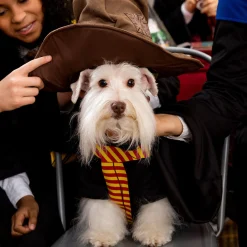 Party City Dog & Pet Costumes-Gryffindor Dog Hoodie Costume - Harry Potter