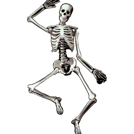 Party City Window & Wall Décor|Halloween Skeleton Jointed Cardstock Cutout, 53In