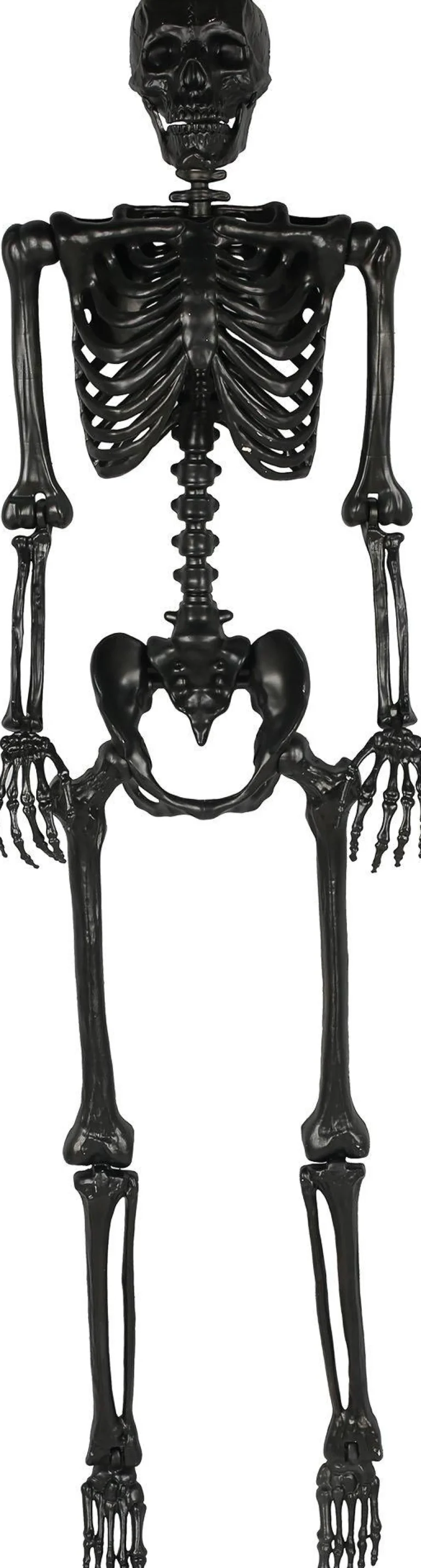 Party City Boneyard Glam|Life-Size Poseable Skeleton, Black, 5Ft - Halloween Decoration