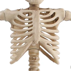 Party City Boneyard Glam|Miniature Poseable Skeleton, 8In