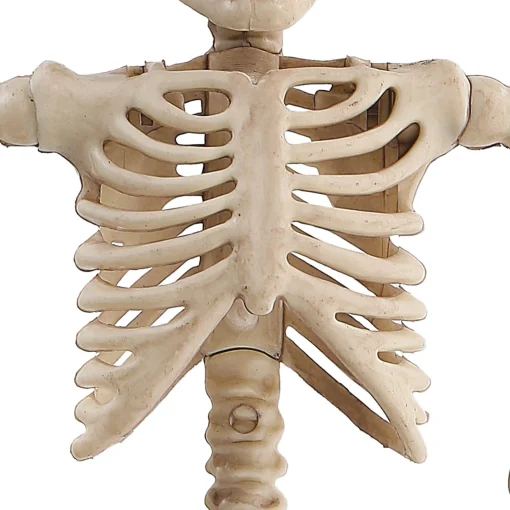 Party City Boneyard Glam|Miniature Poseable Skeleton, 8In