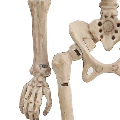 Party City Boneyard Glam|Miniature Poseable Skeleton, 8In