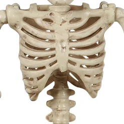 Party City Boneyard Glam|Miniature Realistic Hanging Skeleton, 16In
