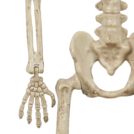 Party City Boneyard Glam|Miniature Realistic Hanging Skeleton, 16In