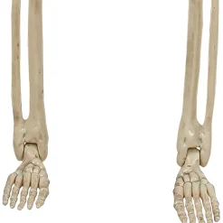 Party City Boneyard Glam|Miniature Realistic Hanging Skeleton, 16In