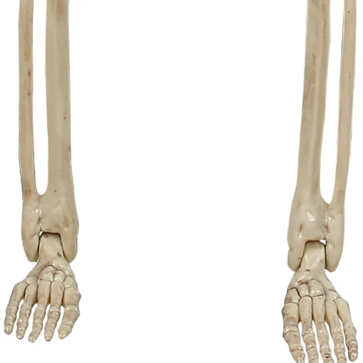 Party City Boneyard Glam|Miniature Realistic Hanging Skeleton, 16In
