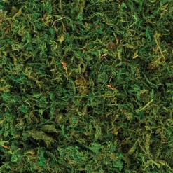Party City Home Décor|Natural Moss, 4.2Oz