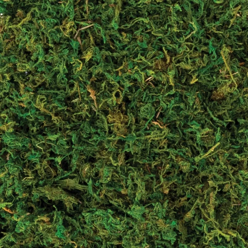 Party City Home Décor|Natural Moss, 4.2Oz