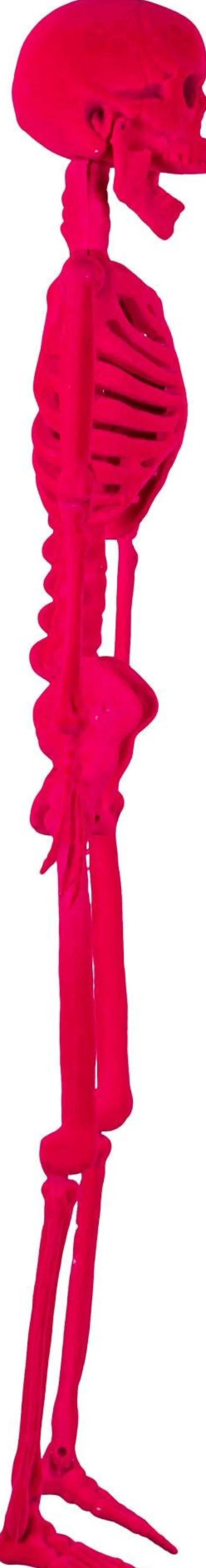 Party City Window & Wall Décor|Neon Pink Black Light Reactive Flocked Skeleton Hanging Decoration, 36In