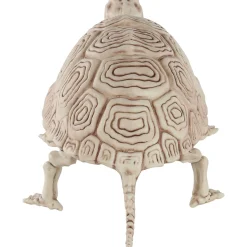 Party City Creatures|Plastic Turtle Skeleton, 7In X 14In