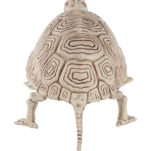 Party City Creatures|Plastic Turtle Skeleton, 7In X 14In