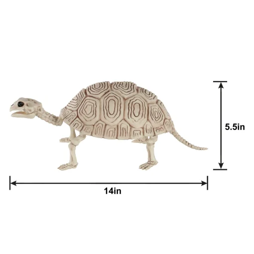 Party City Creatures|Plastic Turtle Skeleton, 7In X 14In