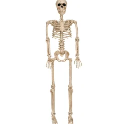 Party City Boneyard Glam|Realistic Hanging Skeleton, 3Ft - Halloween Decoration