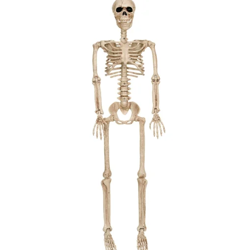 Party City Boneyard Glam|Realistic Hanging Skeleton, 3Ft - Halloween Decoration