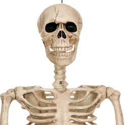 Party City Boneyard Glam|Realistic Hanging Skeleton, 3Ft - Halloween Decoration