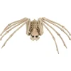 Party City Spiderweb Night|Skeleton Spider Decoration, 21In X 12In