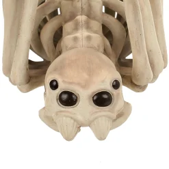 Party City Wicked Haunting|Skeleton Spider Decoration, 21In X 12In