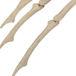 Party City Wicked Haunting|Skeleton Spider Decoration, 21In X 12In
